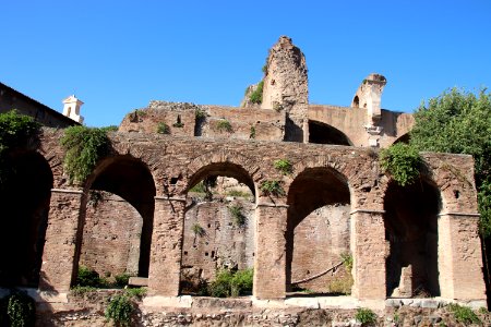 Roman Forum (Forum Romanum) (48417034587)