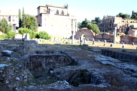 Roman Forum (Forum Romanum) (48416636917)