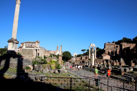 Roman Forum (Forum Romanum) (48416699242)