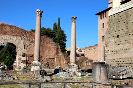 Roman Forum (Forum Romanum) (48416658306)