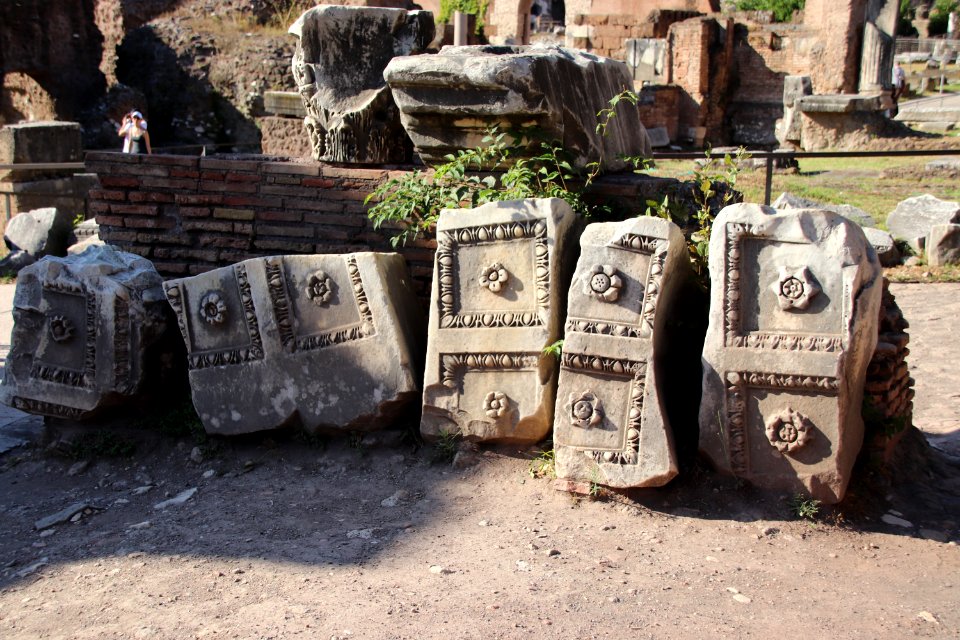 Roman Forum (Forum Romanum) (48416834122)