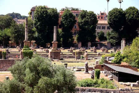 Roman Forum (Forum Romanum) (48423516107)