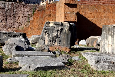 Roman Forum (Forum Romanum) (48416808592)