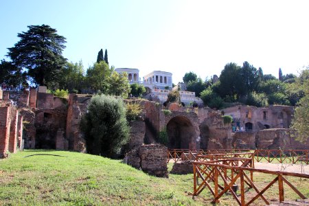 Roman Forum (Forum Romanum) (48416899986)