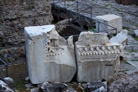 Roman Forum (Forum Romanum) (48486977786)