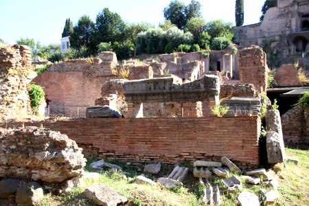 Roman Forum (Forum Romanum) (48416874246)