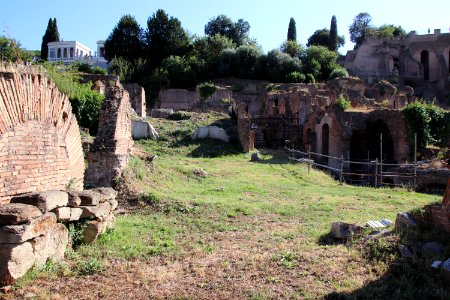 Roman Forum (Forum Romanum) (48417040617)