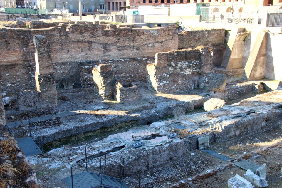 Roman Forum (Forum Romanum) (48487174397)