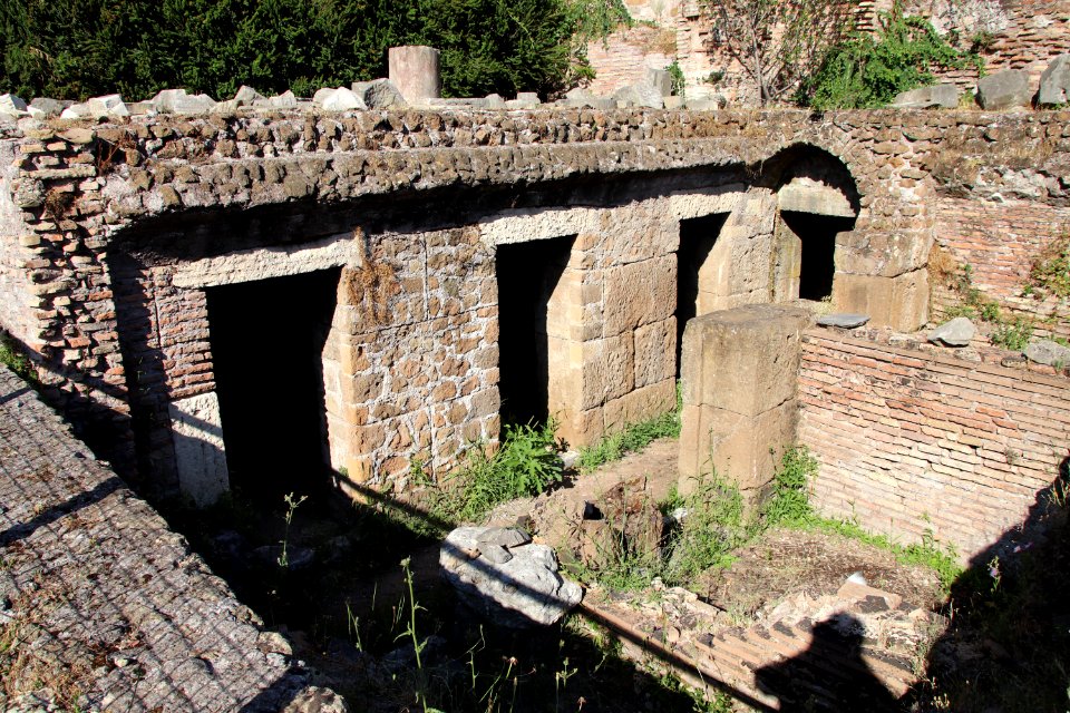 Roman Forum (Forum Romanum) (48417024827)