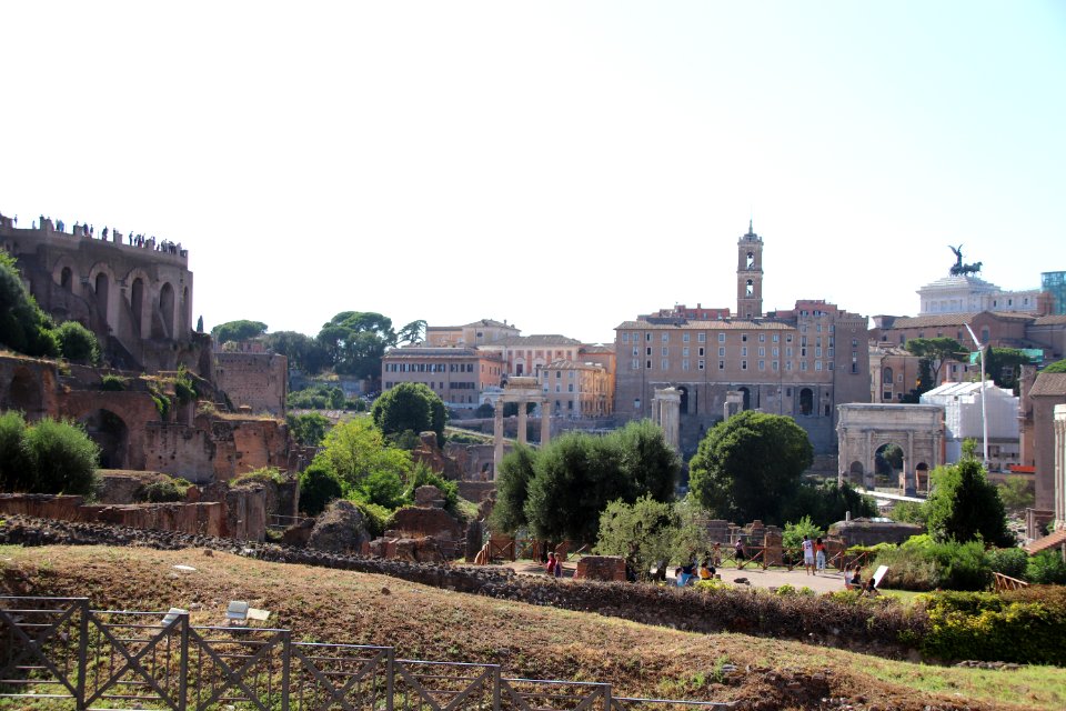 Roman Forum (Forum Romanum) (48417091542)