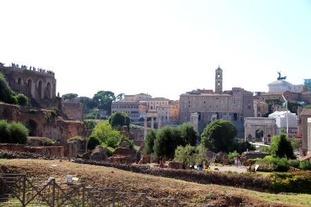 Roman Forum (Forum Romanum) (48417091542)