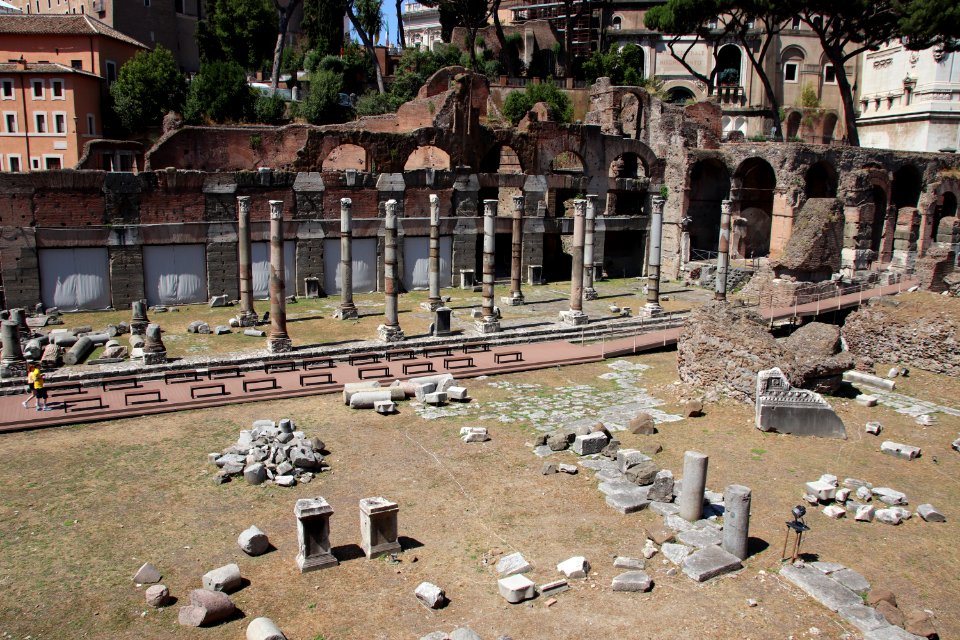 Roman Forum (Forum Romanum) (48423503562)