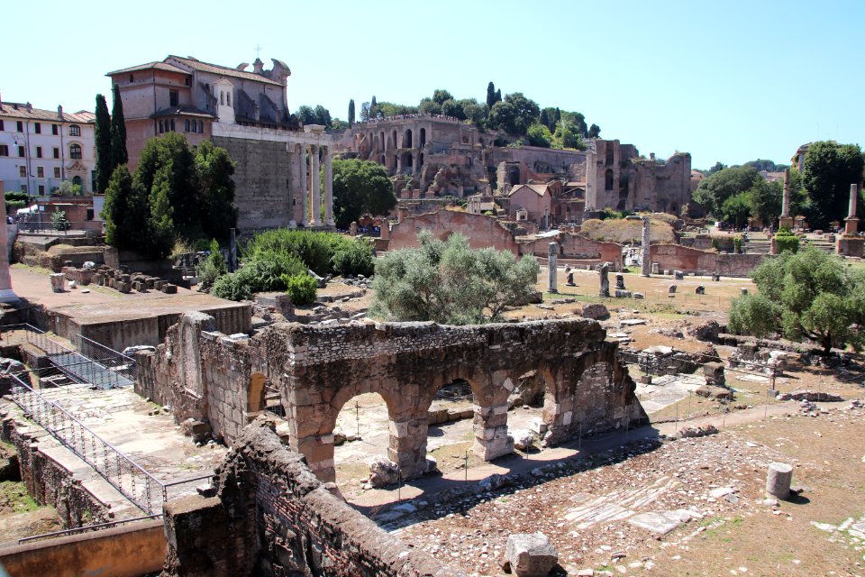 Roman Forum (Forum Romanum) (48423380151)