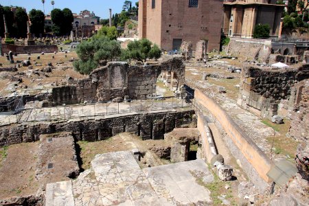 Roman Forum (Forum Romanum) (48423530527)