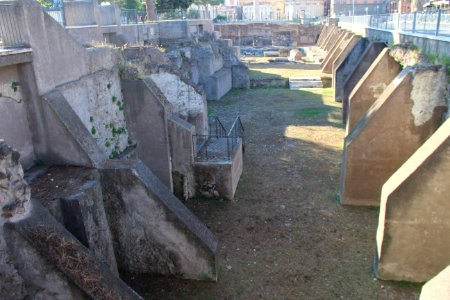 Roman Forum (Forum Romanum) (48487109492)