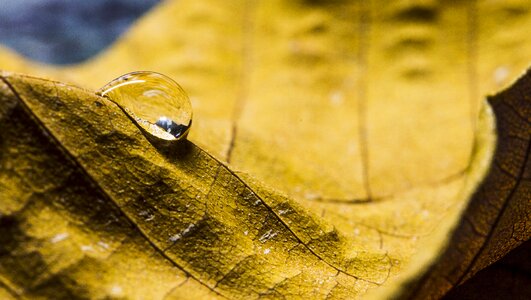 Nature water texture