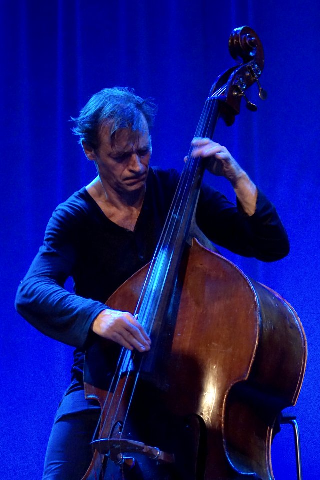 Rudresh Mahanthappa 'Bird Calls' Tivoli Vredenburg 5 november 2016 - Francois Moutin (22753324628)