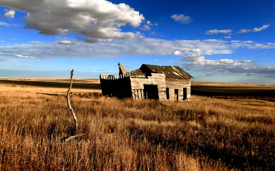 Rural ruins Alberta. (50927414286)