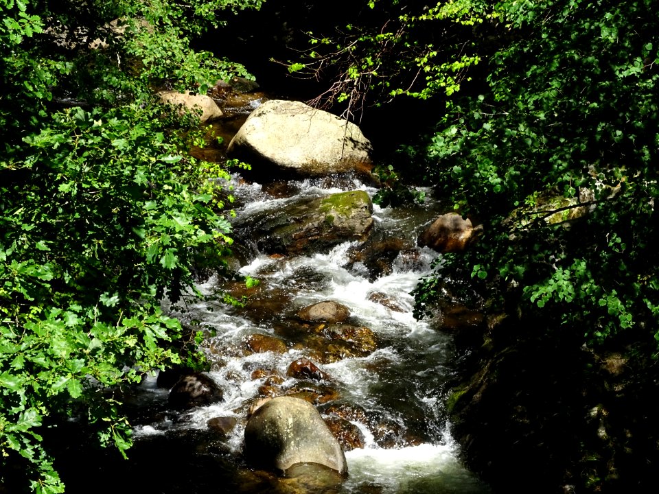 Ruisseau La Tarentaine, Cantal