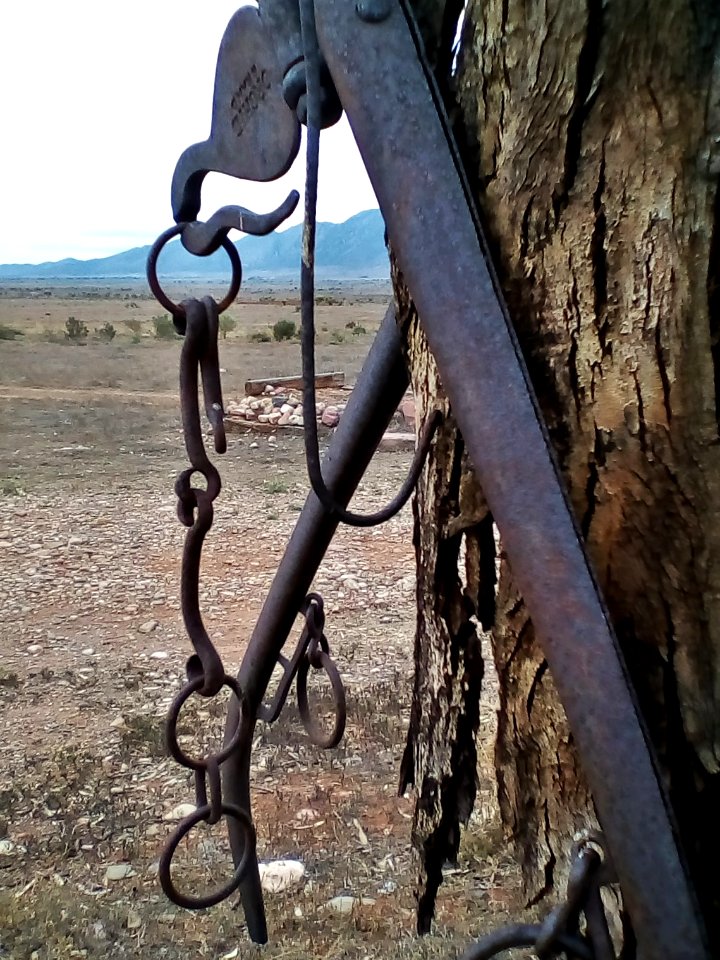 Rust and Bark (37280264690)