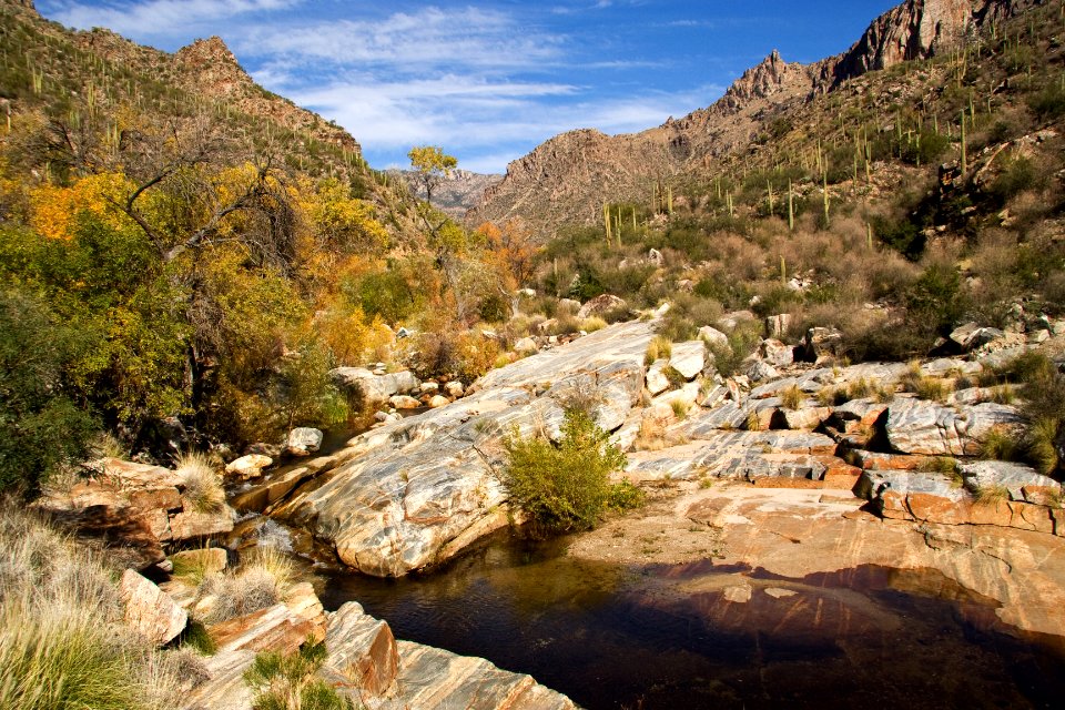 Sabino Canyon Autumn View (27616167299)