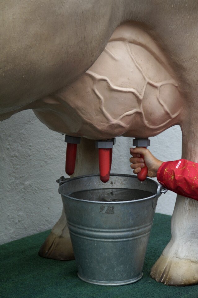 Farm agriculture udder