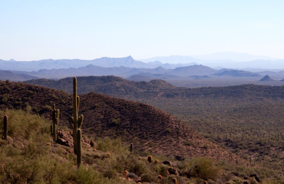 Saguaro and Mountain Layers (8273987988)