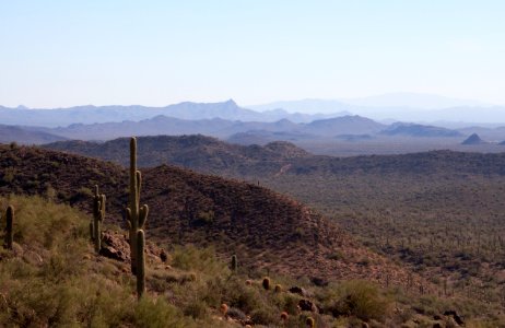 Saguaro and Mountain Layers (8273987988)