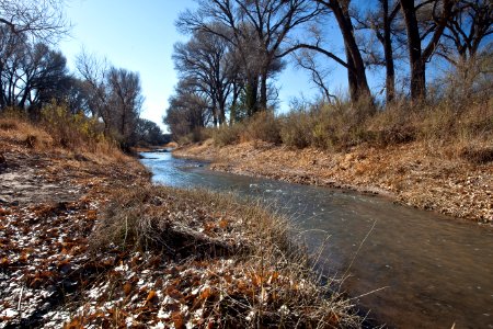 San Pedro Riparian National Conservation Area (26606523402)