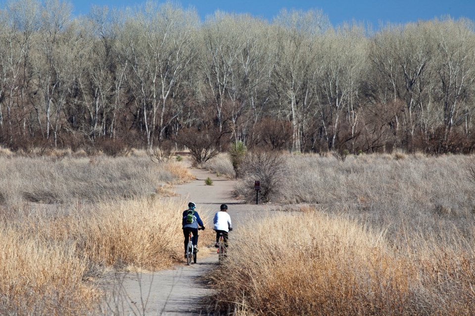 San Pedro River Trail (26426736730)