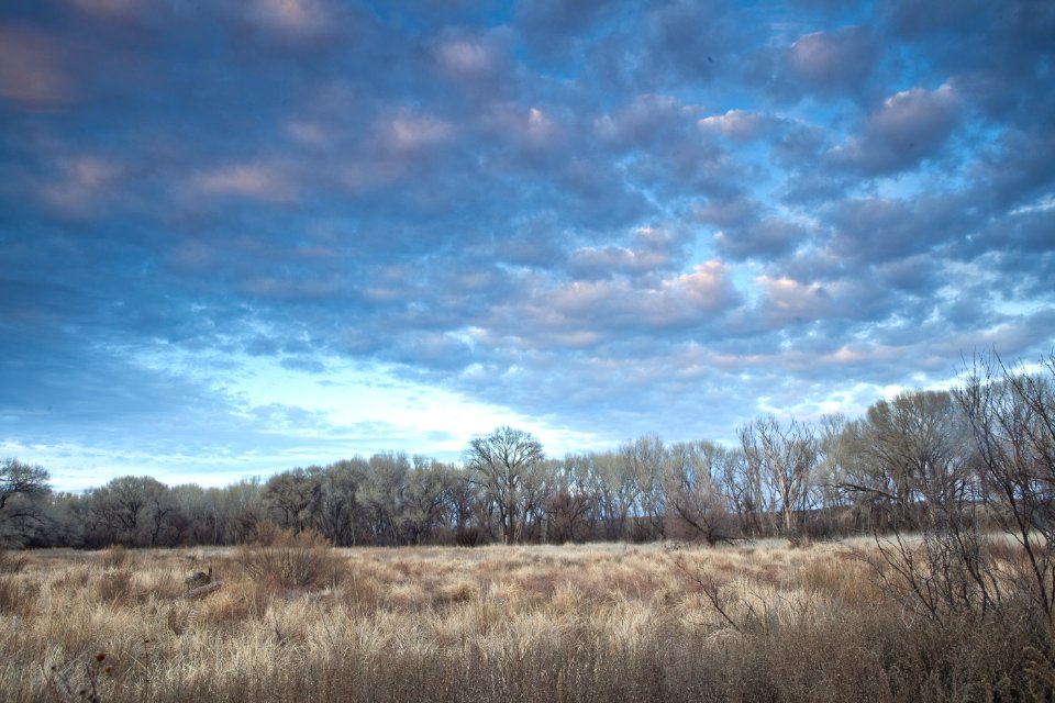 San Pedro Riparian National Conservation Area (26095464633)