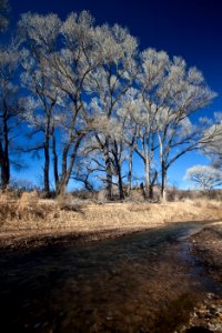 San Pedro Riparian National Conservation Area (26606529162)