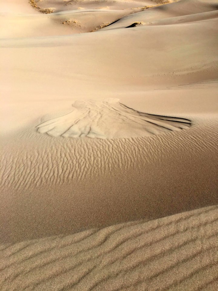 Sand Avalanche and Ripples (39428290505)