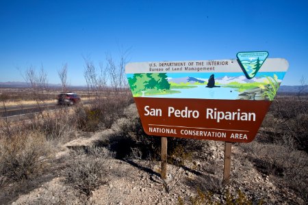 San Pedro Riparian National Conservation Area (26633462251)