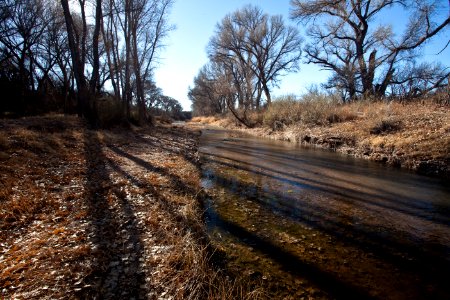 San Pedro Riparian National Conservation Area (26699467475)