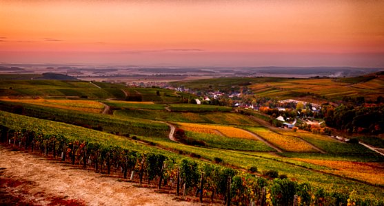 Sancerre countryside 2 (45318941442)
