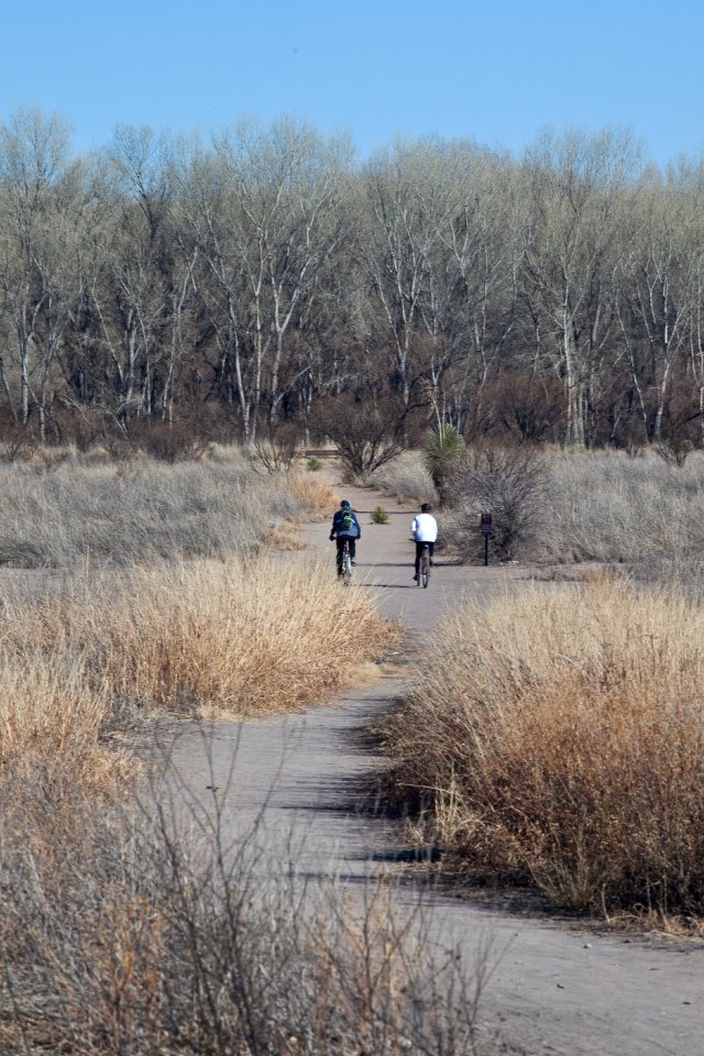 San Pedro River Trail (26672856576)