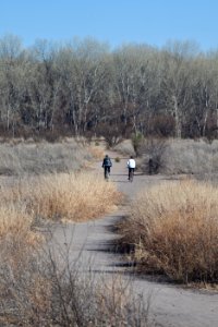San Pedro River Trail (26672856576)