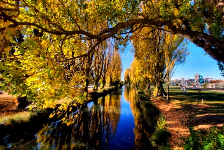 Seasonal colours Christchurch. (51203926803)