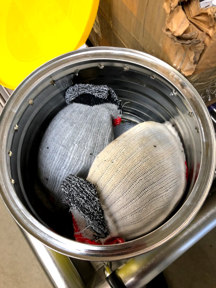 Seized Mexican box turtles (51191542861)