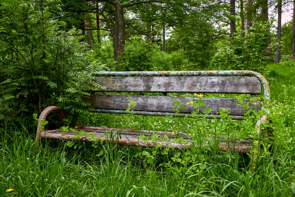 Semi-Abandoned Children's Camp (35468599341)