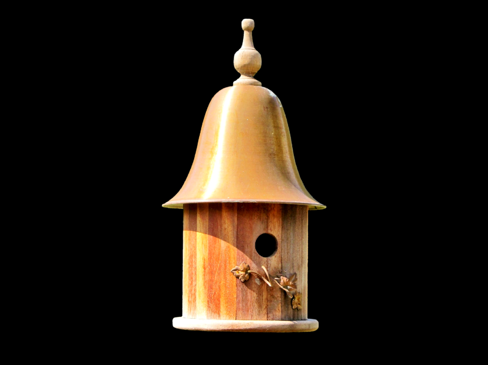 Breeding house nesting place bird