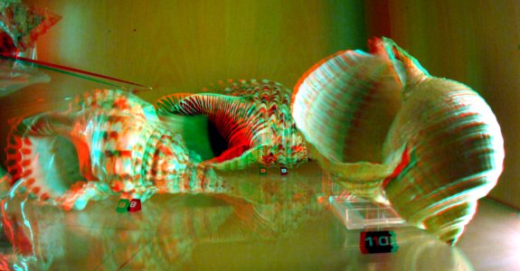 Shell NHM Rotterdam 3D (45849770085)