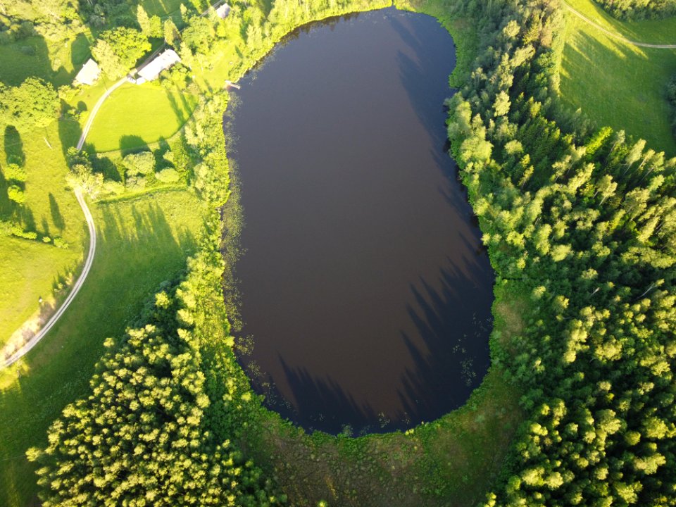 Sibula järv (50020349467)