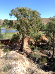 Silted dam, Orroroo (31638935415) photo