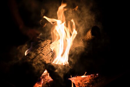 Campfire firewood burn photo