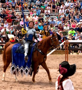Sir Edgeron (13831679175)