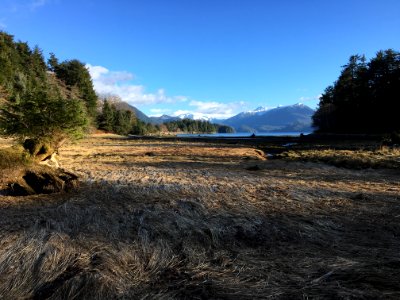 Sitka National Historical Park (48754592307)