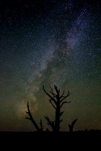 Skeleton at Night (1 of 1) (37035935430)