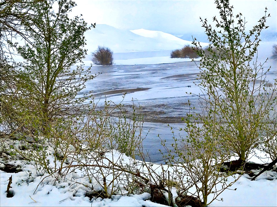 Snow on the Dunes, May 18 (51189687685)